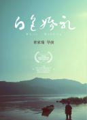 玩家分享：我与神雕侠侣的游戏故事